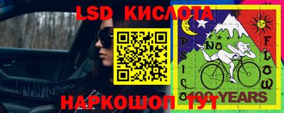 спиды Камышлов