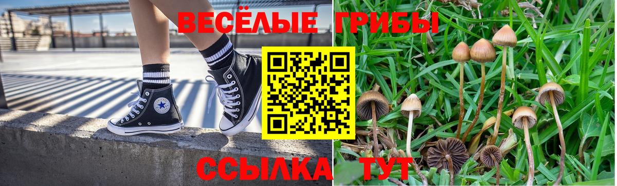 Кропоткин  Псилоцибиновые грибы Magic Shrooms  Вход с VPN  Галлюциногенные грибы мухоморы 